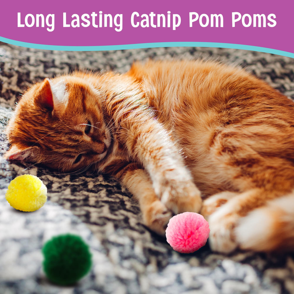SPOT Wool Pom Poms multi-cat play scene shows shared entertainment and activity.