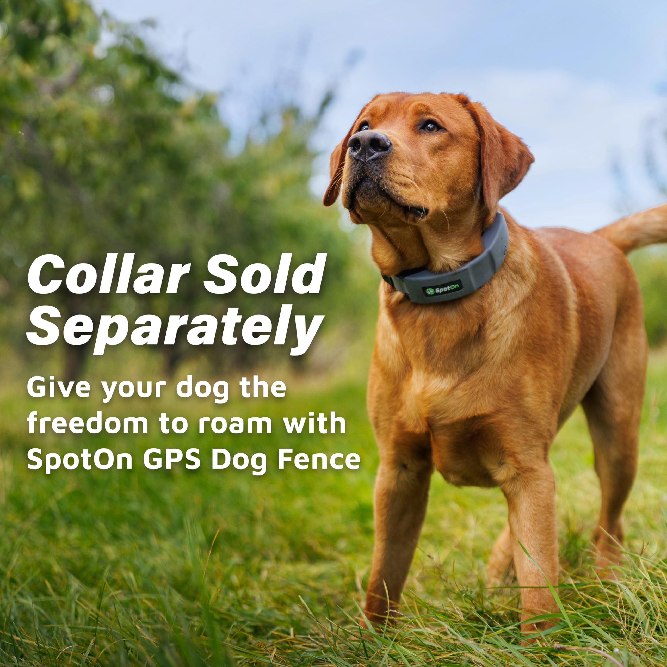 SpotOn charging kit in use with collar near boundary fence for extended battery life.