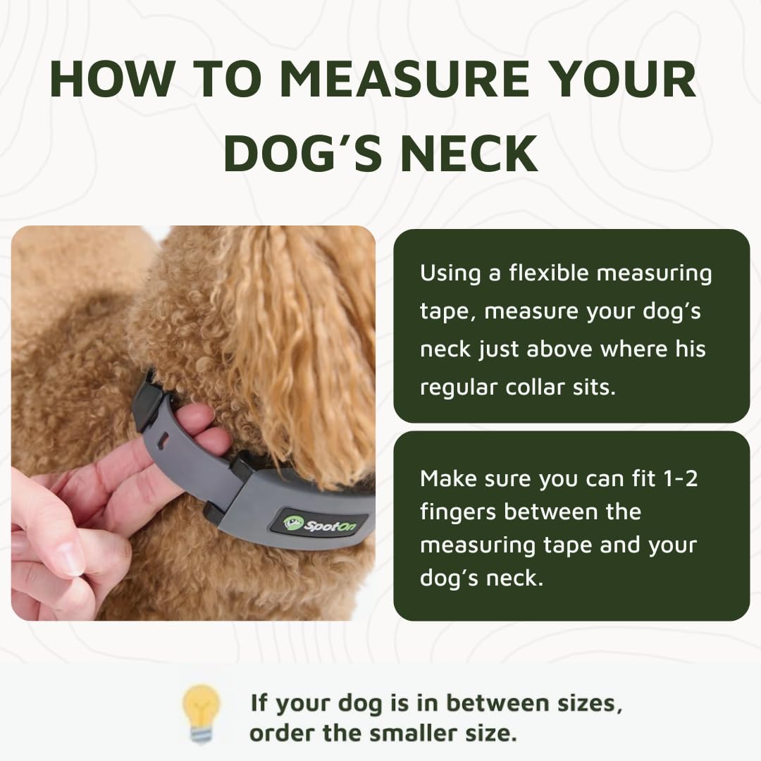 SpotOn waterproof IP67 collar used in rain and puddles.