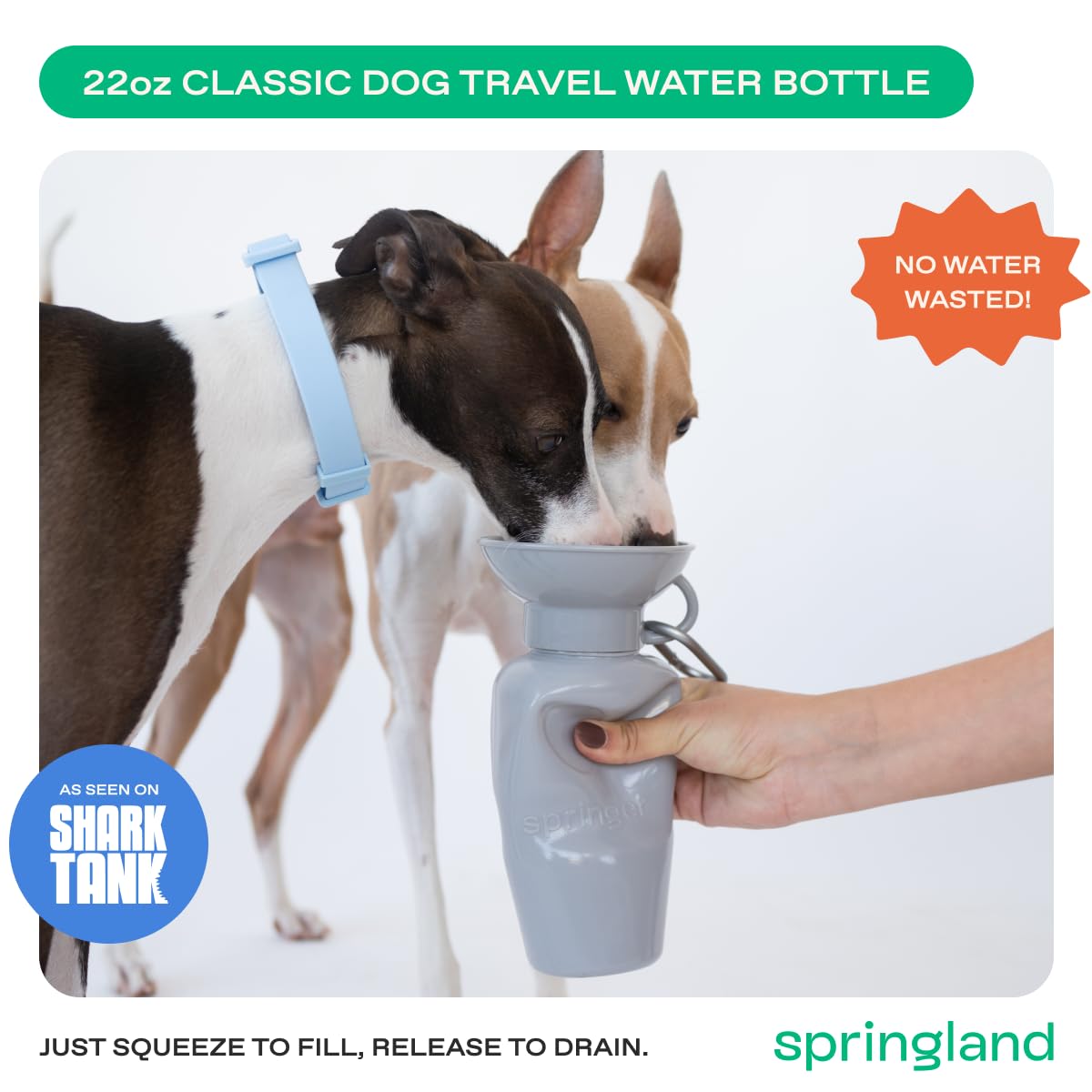 Springer by Springland bottle being squeezed to dispense water for a thirsty pup.
