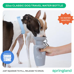 Springer by Springland bottle being squeezed to dispense water for a thirsty pup.