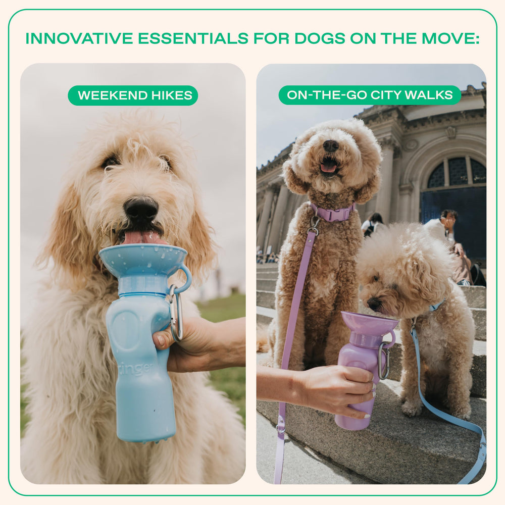 Springer by Springland BPA-free bottle is safe for pets and easy cleanup.