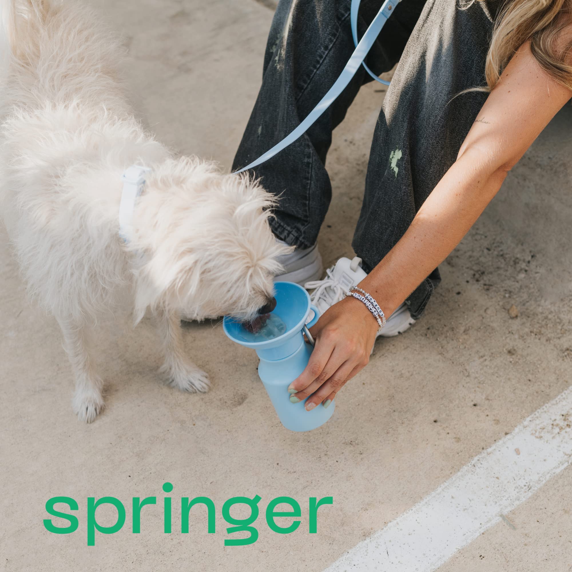 Springer by Springland BPA-free label highlights safe, pet-friendly materials.