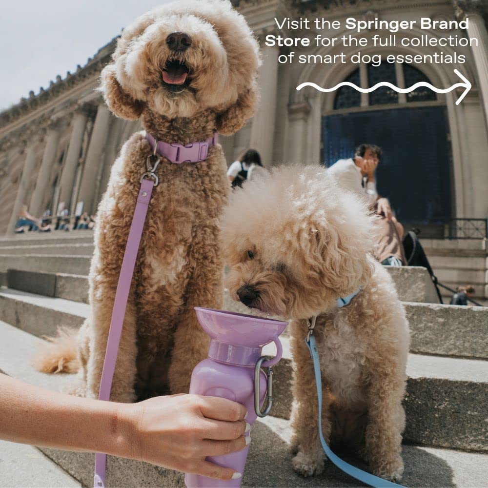 Springer by Springland dog hydration on walks during outdoor adventures.