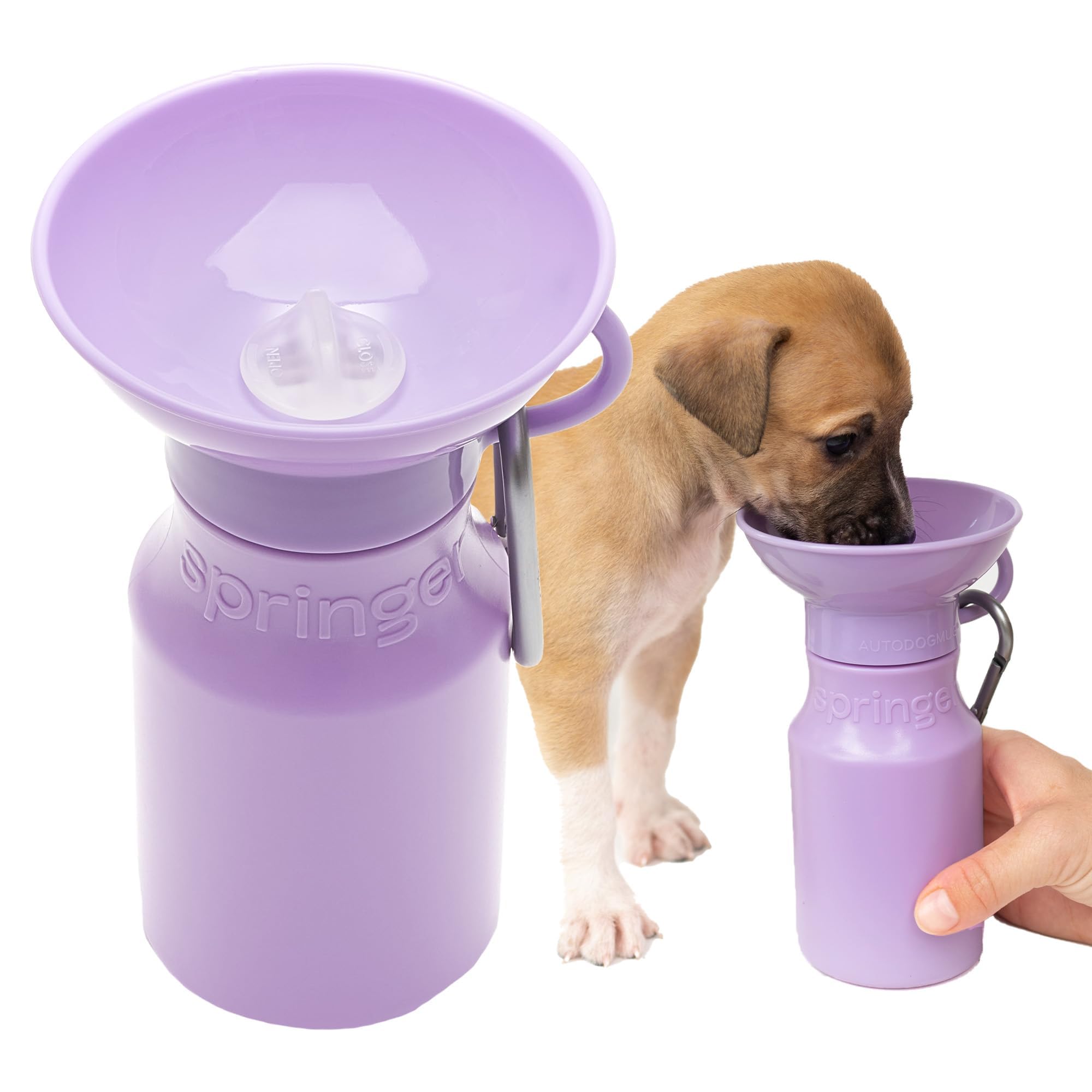 Springer by Springland dog water bottle with lilac cap for convenient hydration on the go.