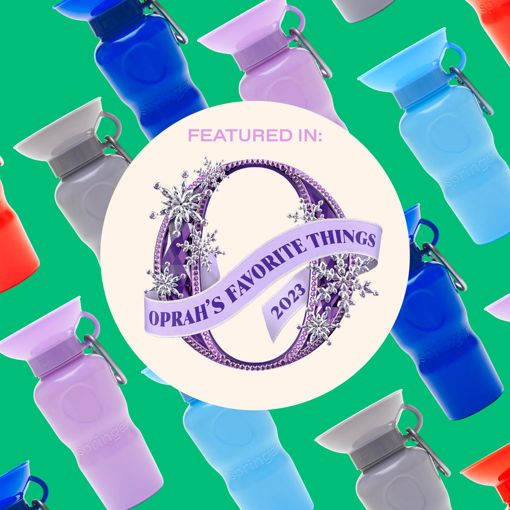 Springer by Springland leak-tight valve close-up emphasizes spill-free hydration.