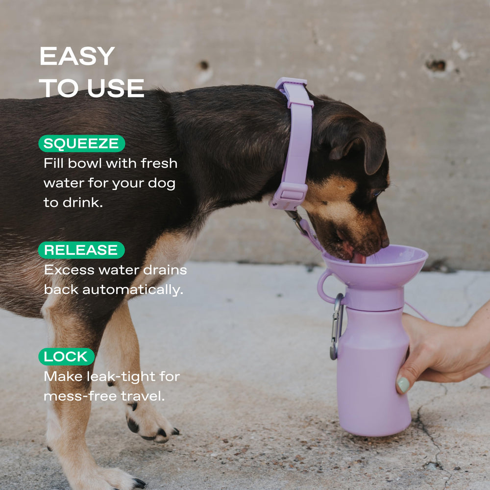Springer by Springland leak tight valve prevents leaks during travel or storage.