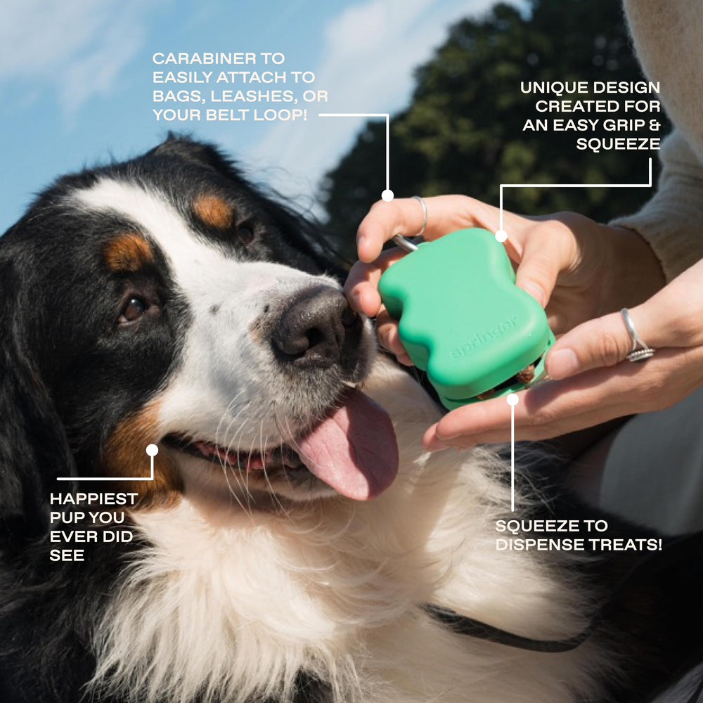 Springer dog treat pouch carabiner attachment keeps hands free during walks
