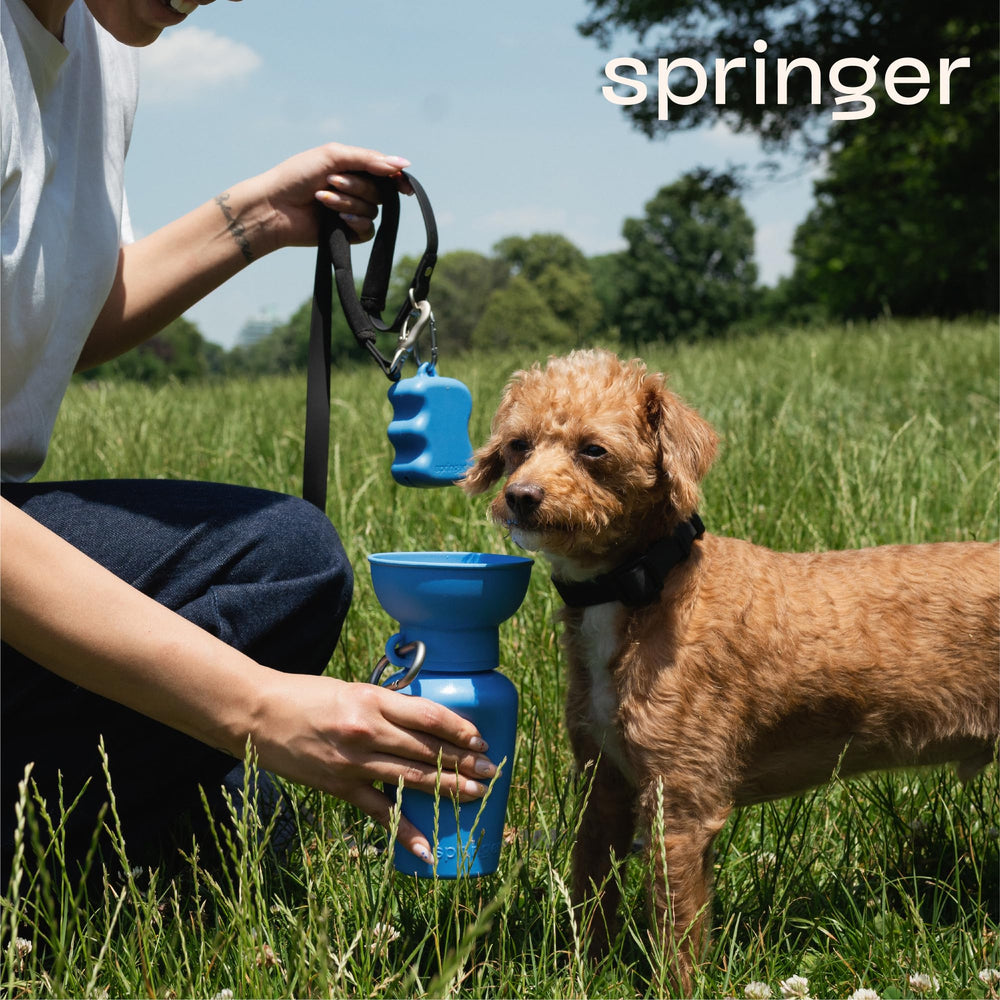Springer dog treat pouch on-the-go design keeps rewards within reach during walks