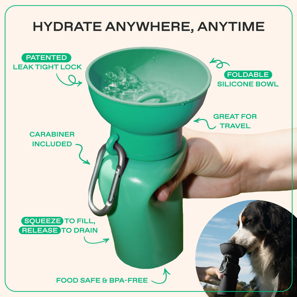 Springer Flip bottle features leak-proof design to prevent spills.