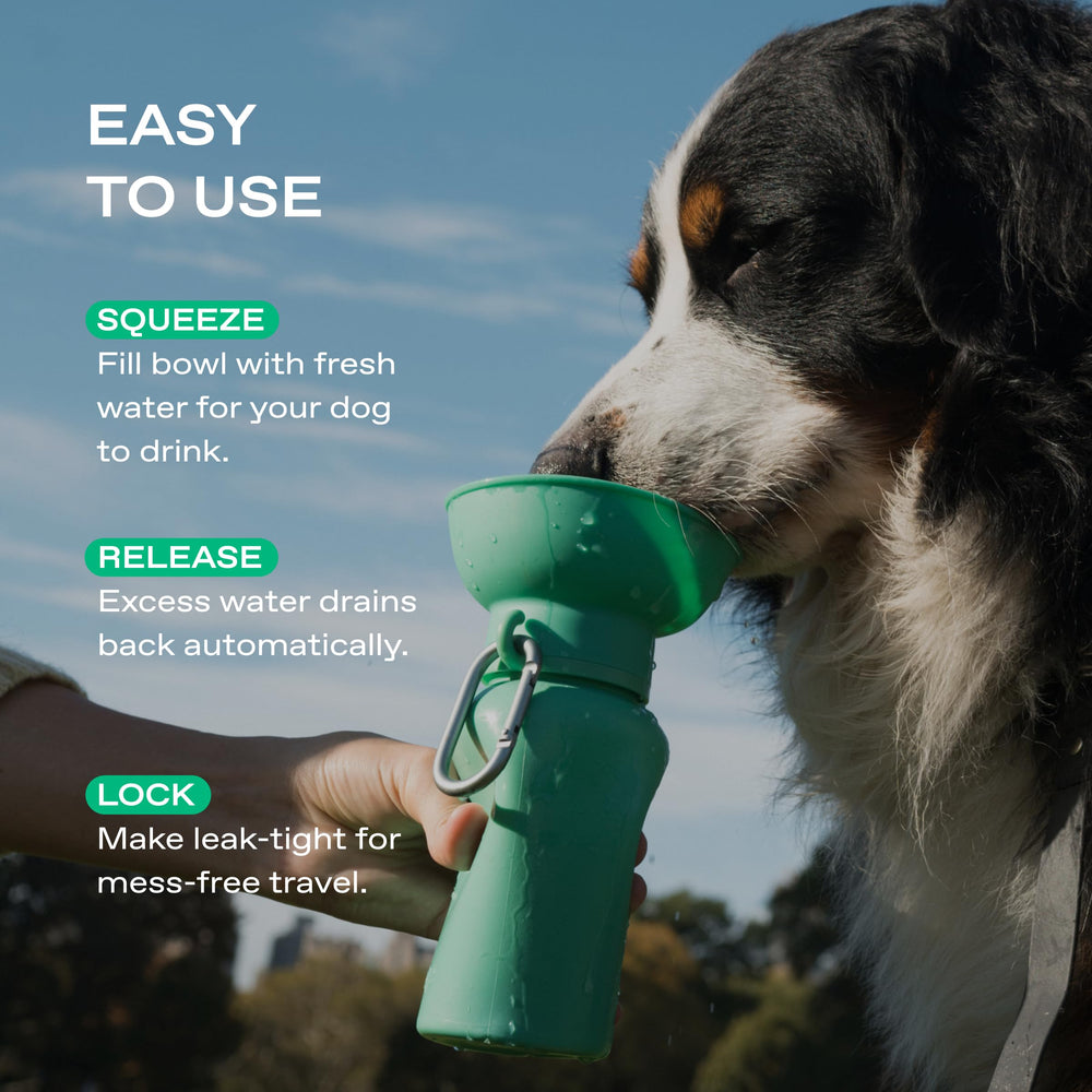 Springer Flip bottle material shows BPA-free silicone for pet safety.