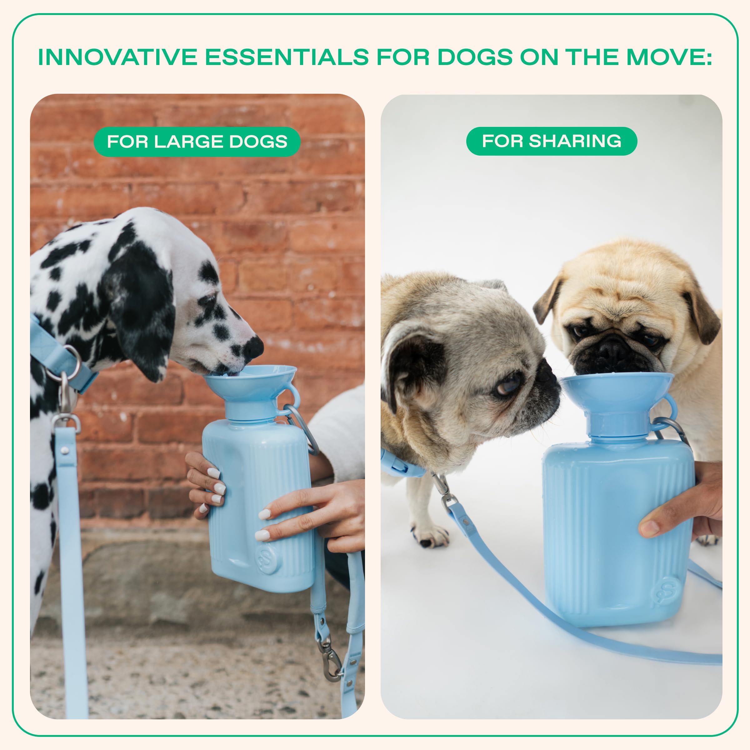 Springer dishwasher-safe components shown for easy cleaning after outings