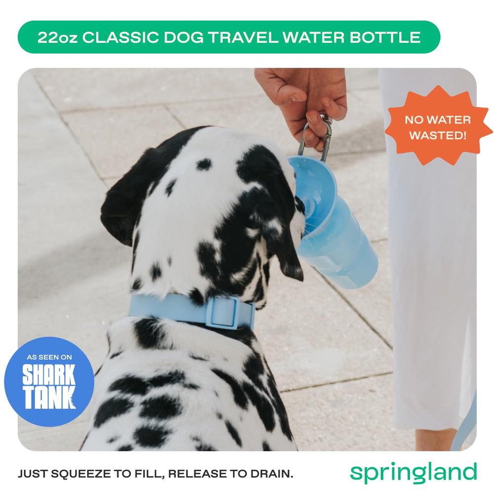 Springer sky blue bottle with leak-proof valve prevents spills during travel.
