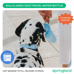 Springer sky blue bottle with leak-proof valve prevents spills during travel.