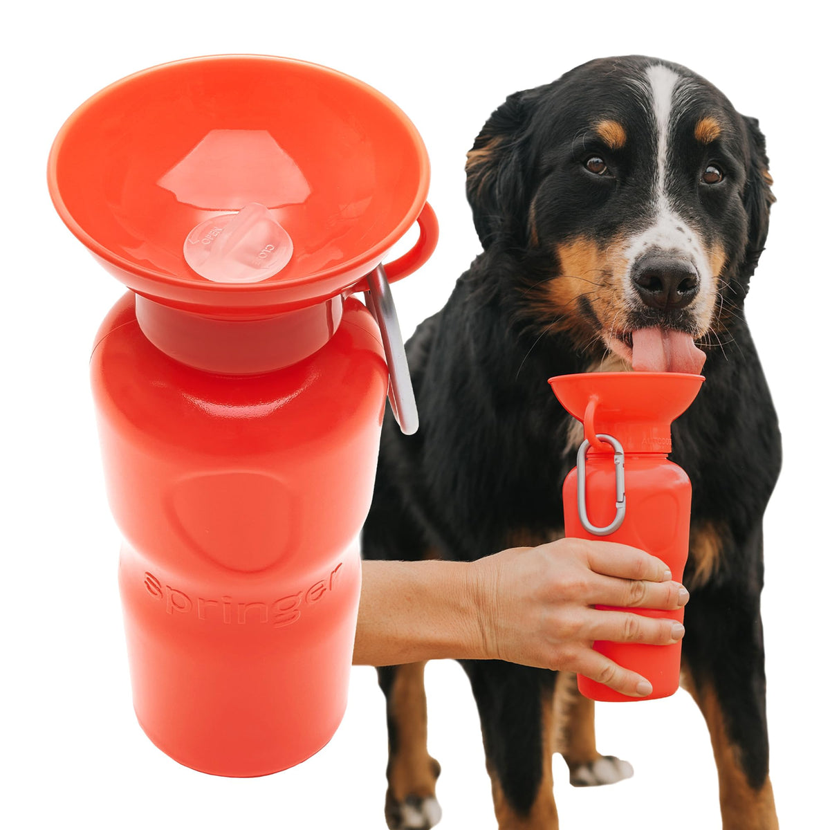 Springer by Springland hero bottle demonstrates portable hydration for adventures.