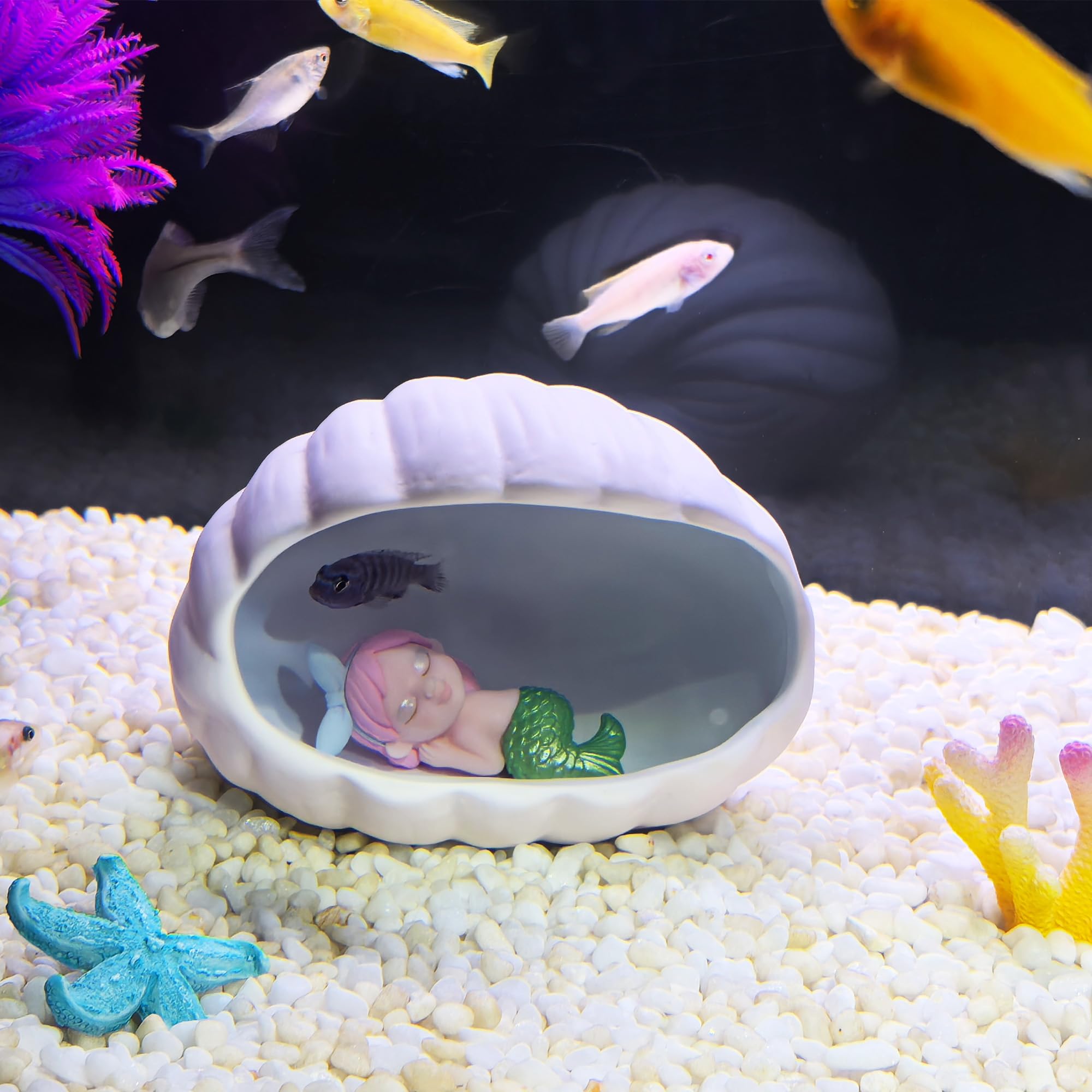 SpringSmart Resin Coral and Starfish – adds lifelike color and exploration spots for aquatic pets.