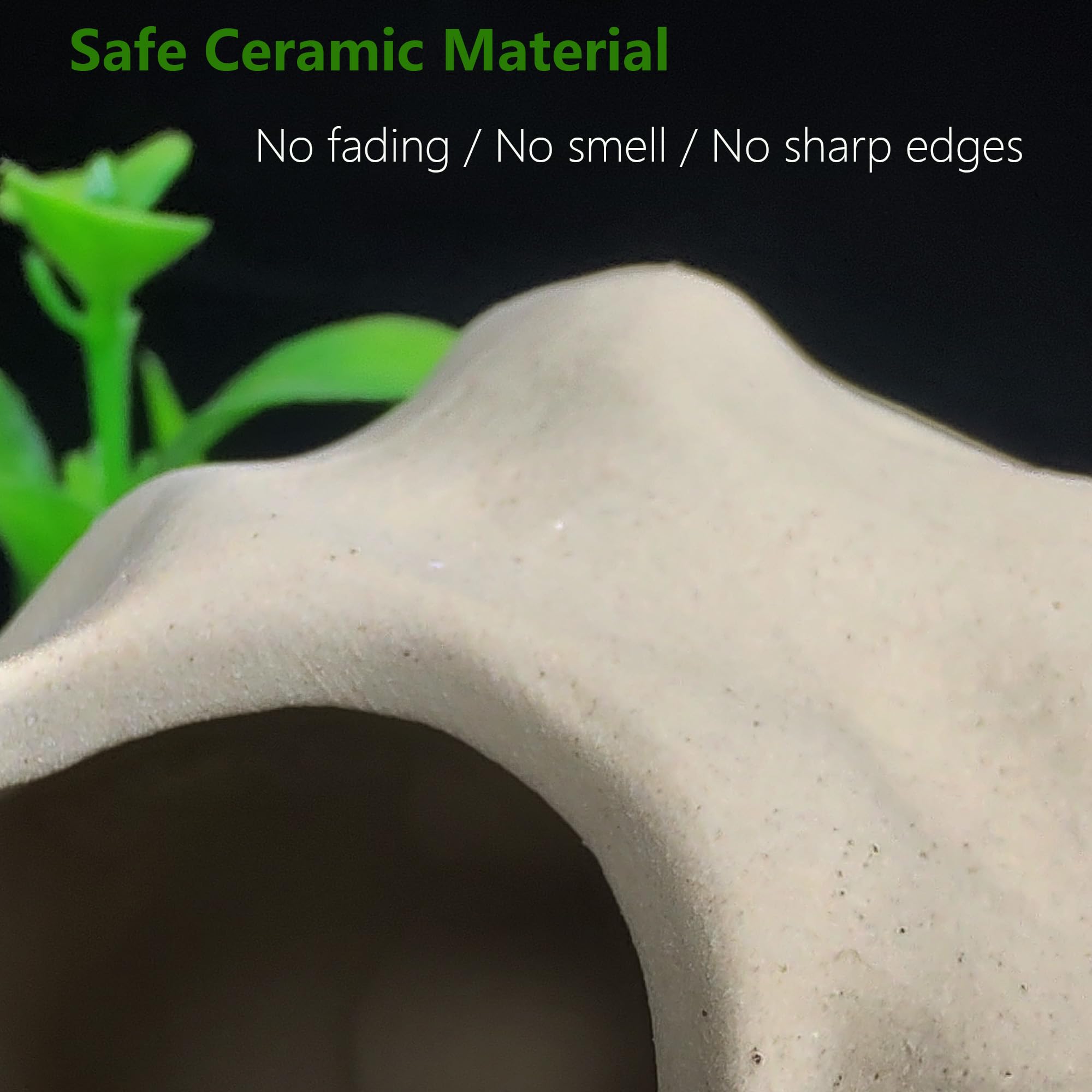 SpringSmart rock-and-plant decor enhances tank aesthetics and hiding spots