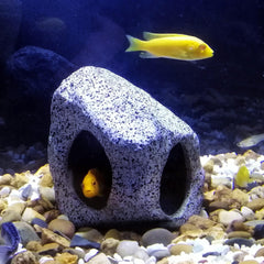 SpringSmart rock cave inside-view showing cozy shelter for Bettas and shrimp.
