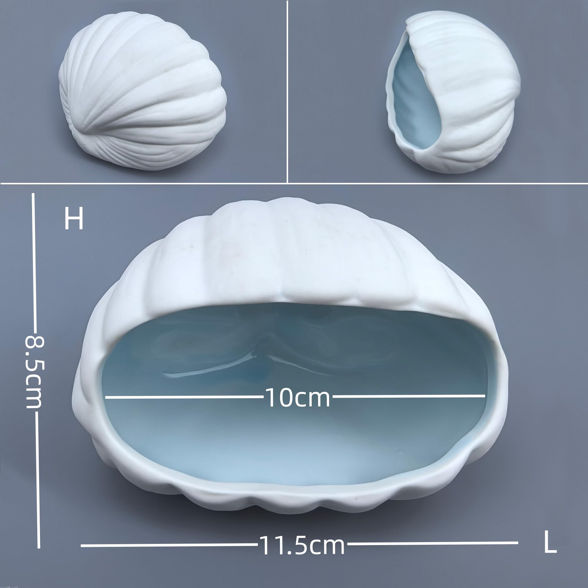 SpringSmart Underwater Landscape Textures – realistic detailing enhances tank depth and interest.
