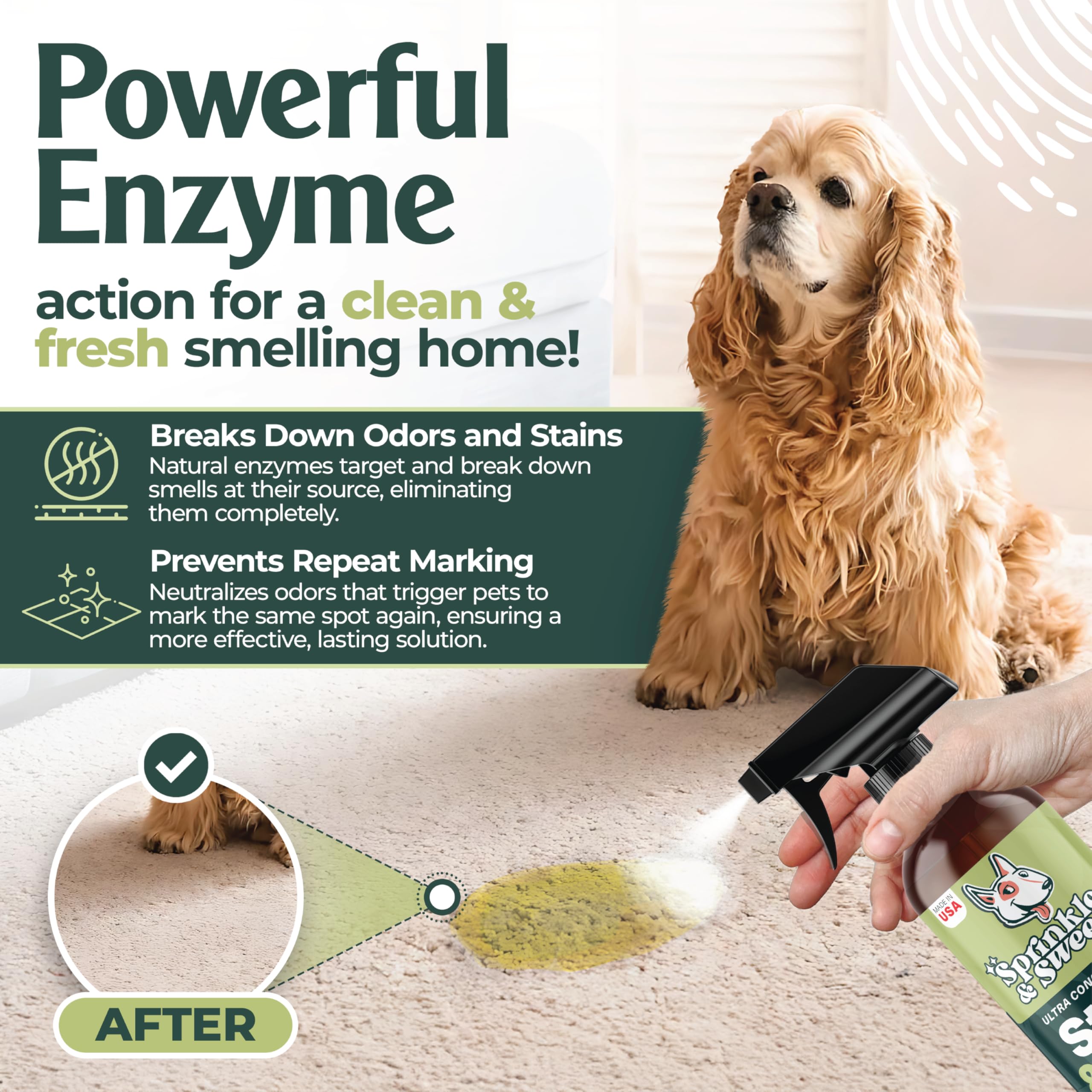 Sprinkle & Sweep cat urine stain removal demonstrates odor-eliminating action