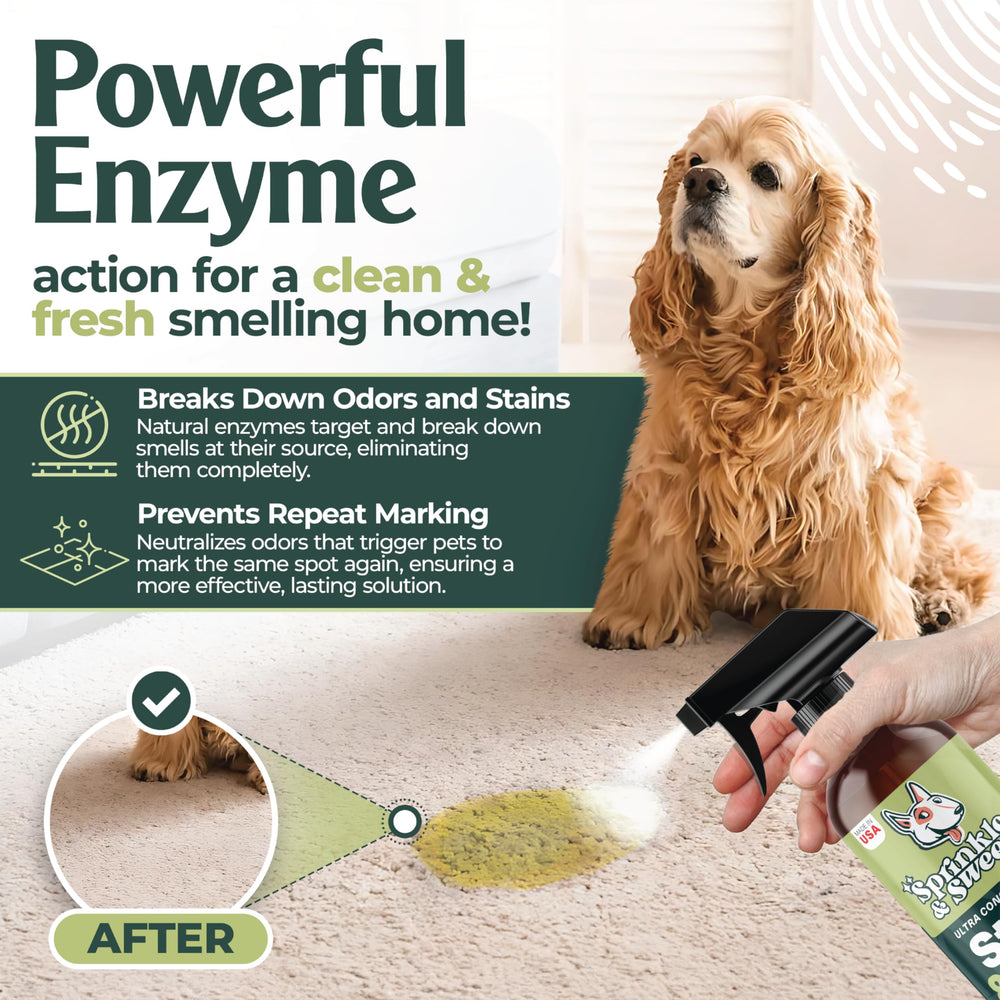 Sprinkle & Sweep cat urine stain removal demonstrates odor-eliminating action