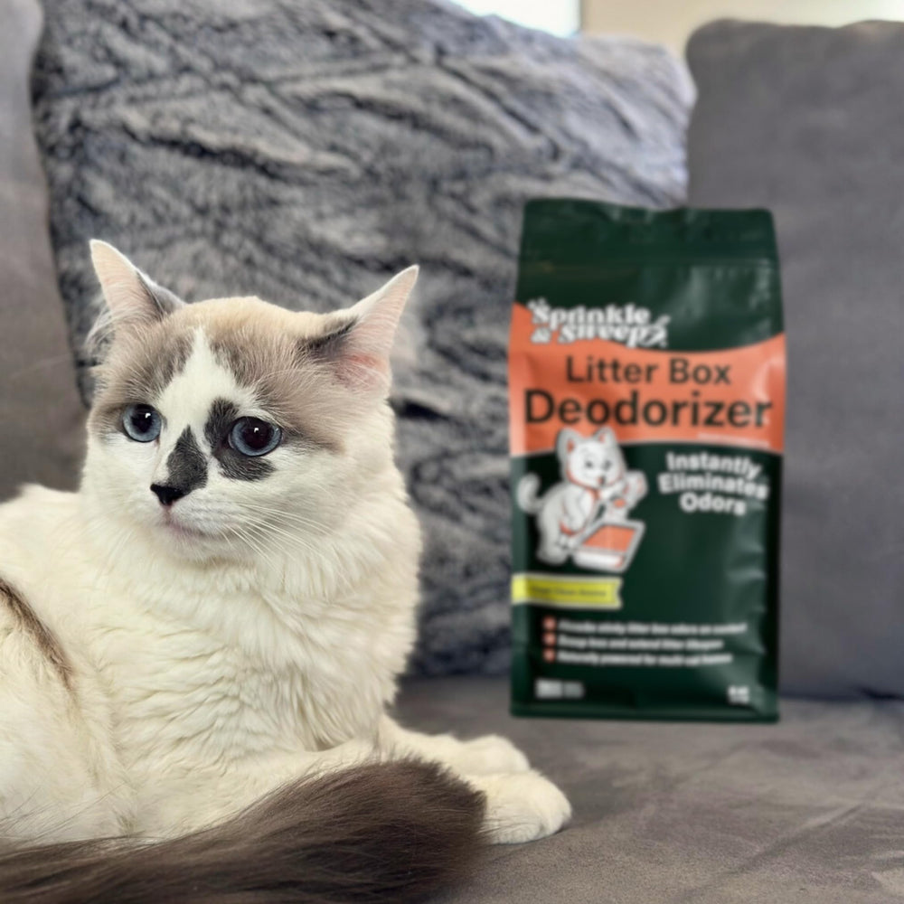 Sprinkle & Sweep versatile-use scenario shows deodorizing trash can and kennels.