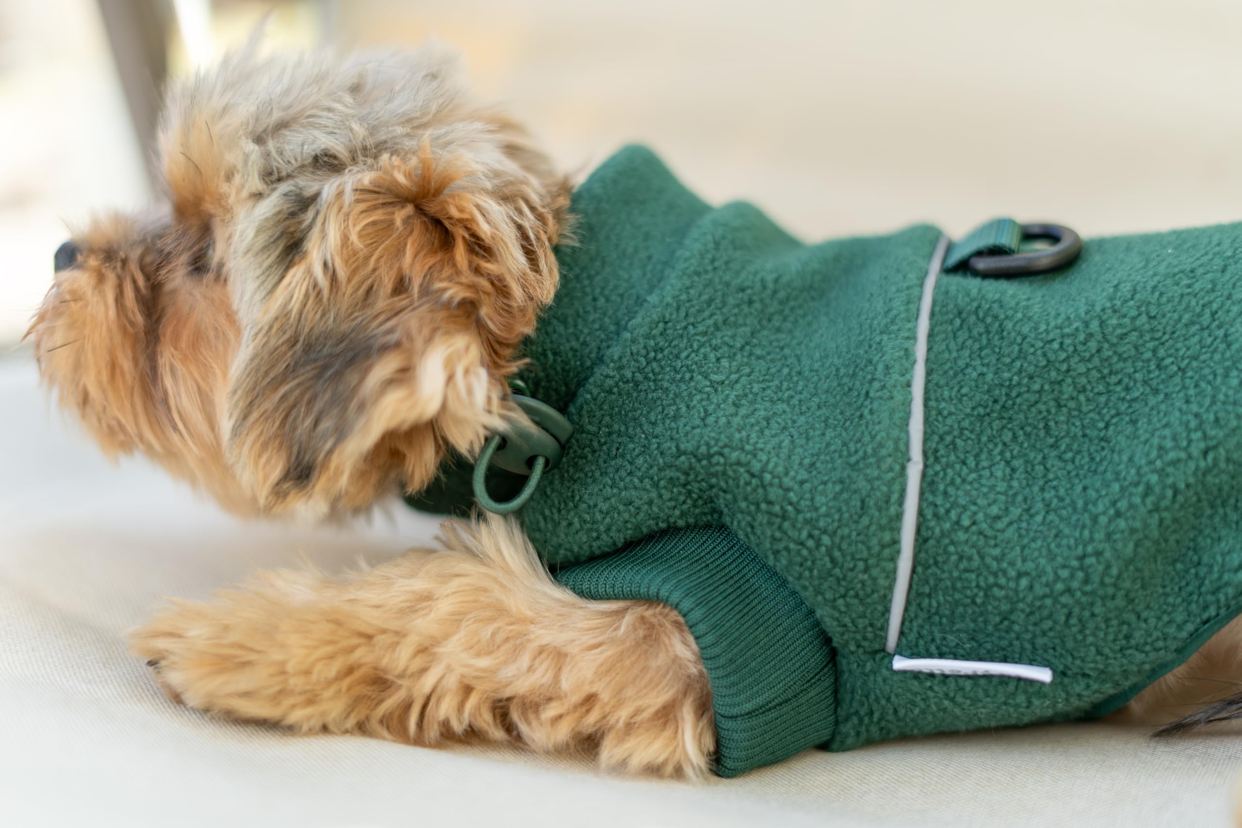 Sprypetto small dog sweater neck elastic drawstring adjusts warmth against windier days.