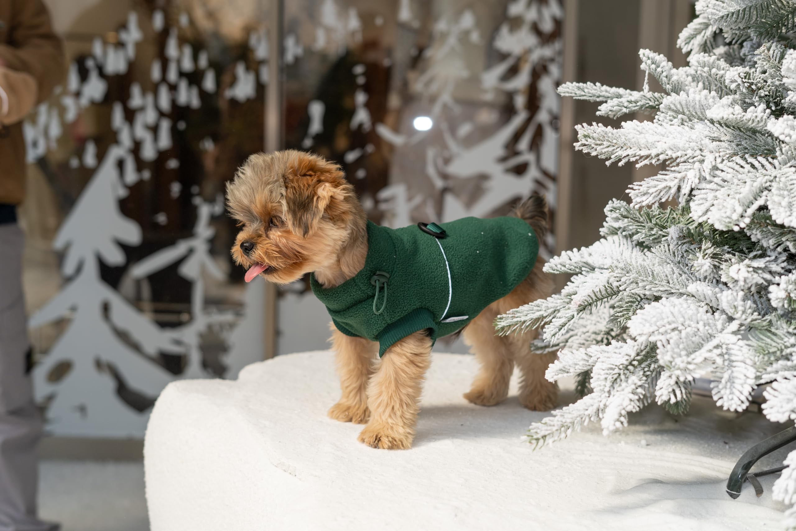 Sprypetto small dog sweater sleeveless cut supports free movement during play.