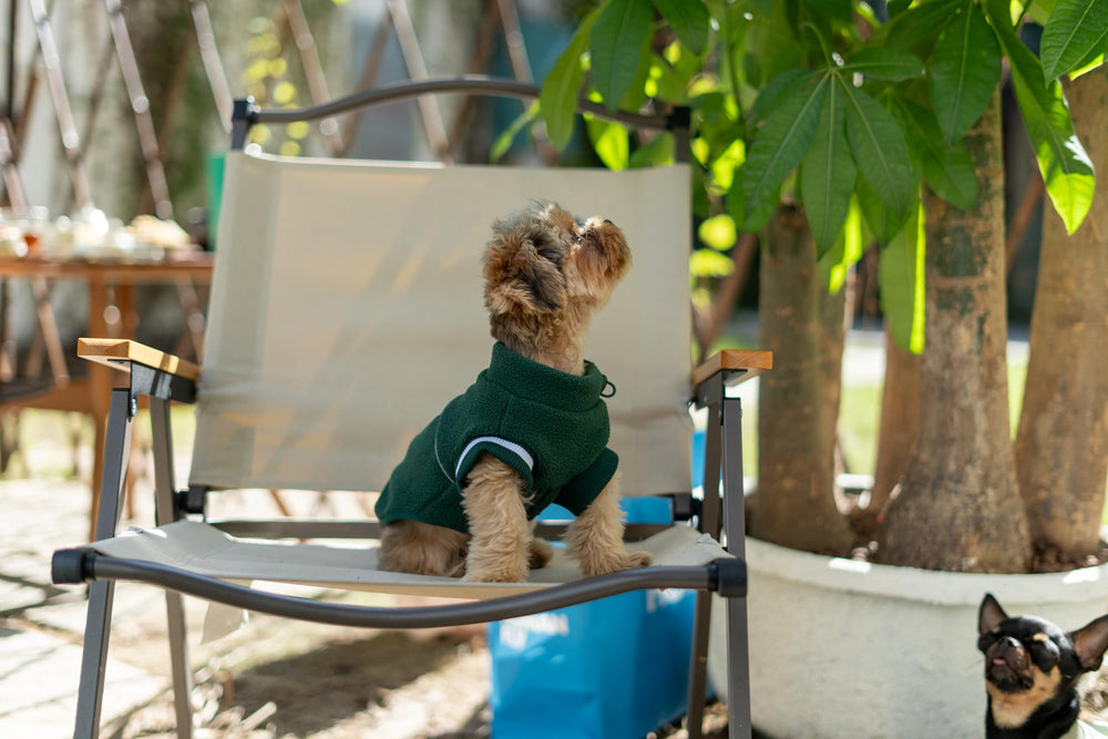 Sprypetto small dog sweater warm fleece keeps tiny pals cozy indoors or out.