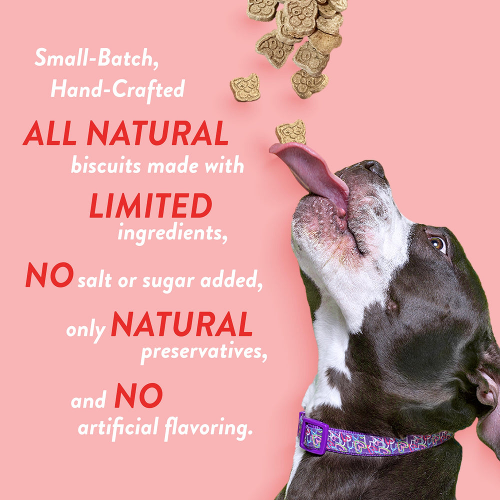 Spunky Pup A Pizza My Heart crunch closeup highlighting crunchy texture