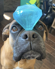 Spunky Pup Diamond Squeaker floats for water play and easy cleanup.