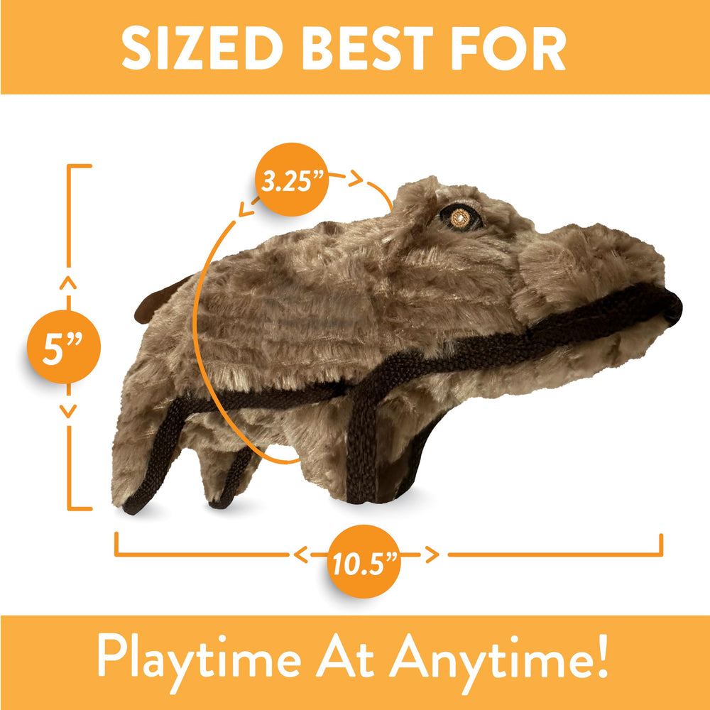 Spunky Pup hippo playtime shot demonstrates engaging squeaker for mental stimulation.