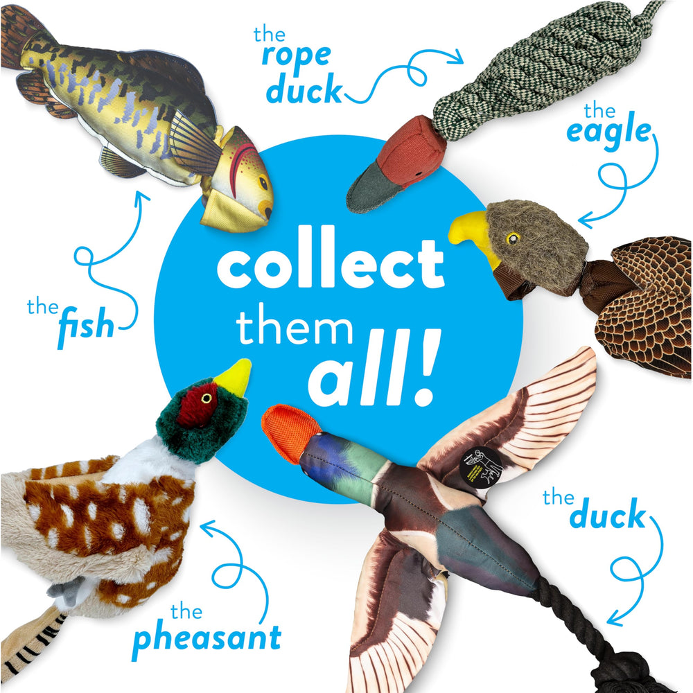 Spunky Pup Eagle toy showing sturdy stitching and construction for long-lasting play.