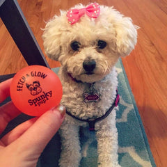 Spunky Pup fetch ball floats on water for lake, beach, or pool play.