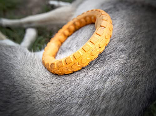 Spunky Pup Gnaw Guard Large Ring floating in water for pool play.