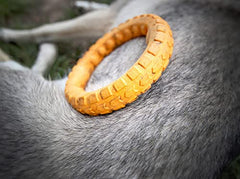 Spunky Pup Gnaw Guard Large Ring floating in water for pool play.