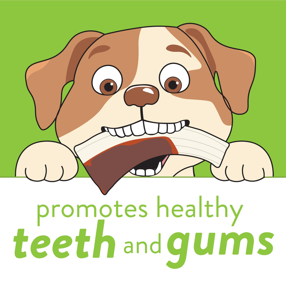 Spunky Pup Snack & Chew Antler Toy held easily for puppies during training sessions.