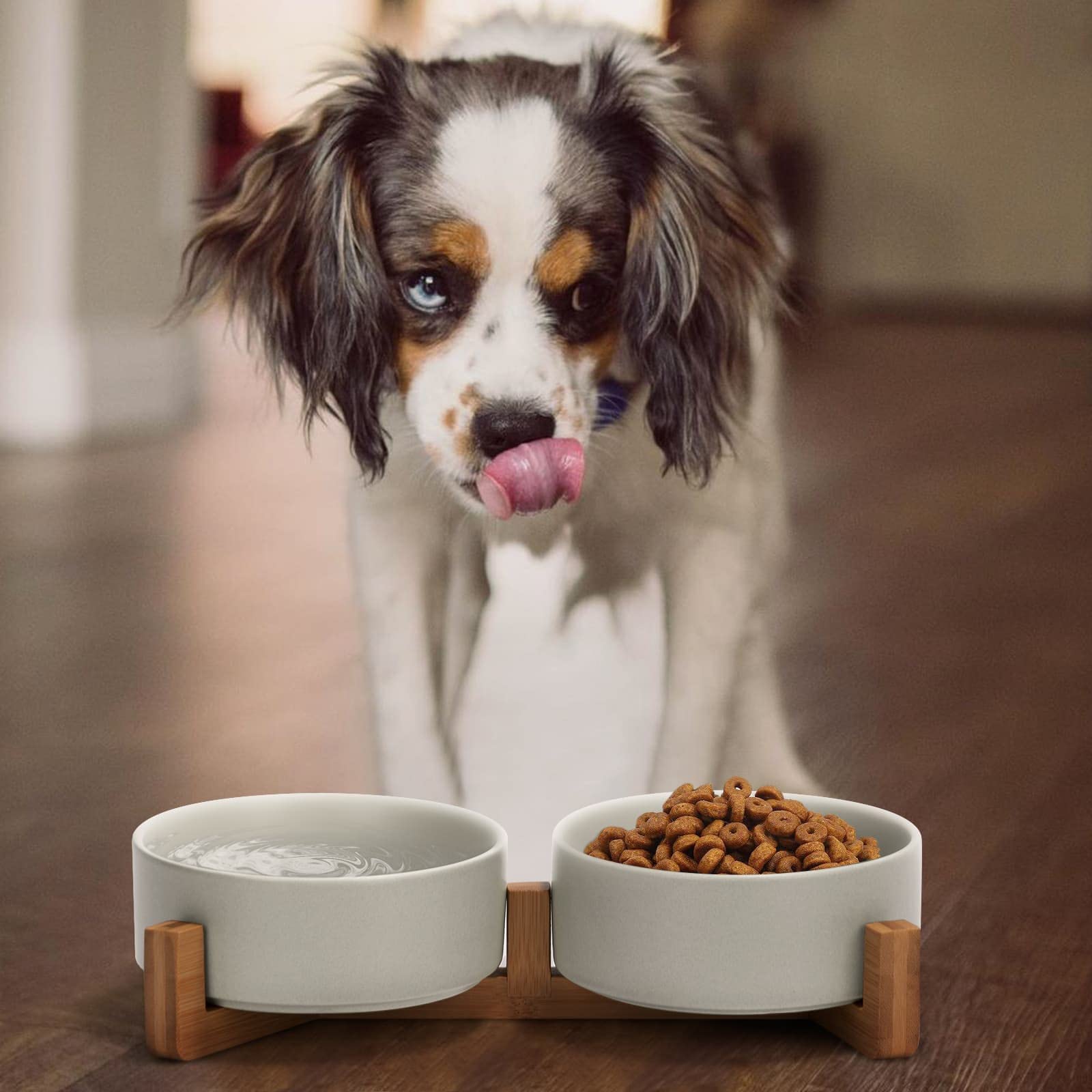 SPUNKYJUNKY ceramic dog bowl – side angle emphasizes easy access during meals.