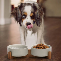 SPUNKYJUNKY ceramic dog bowl – side angle emphasizes easy access during meals.