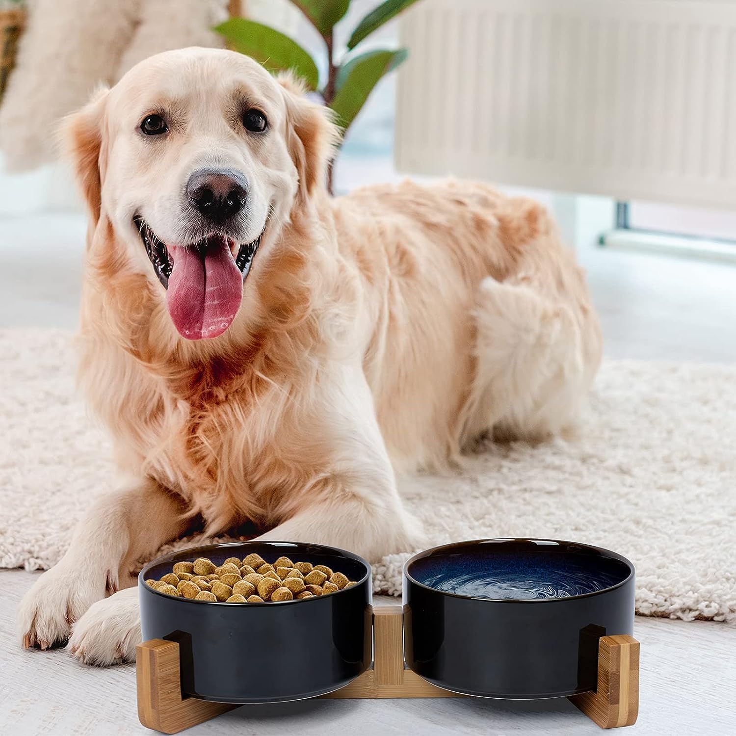 SPUNKYJUNKY ceramic dog bowl water closeup ensuring easy access to hydration