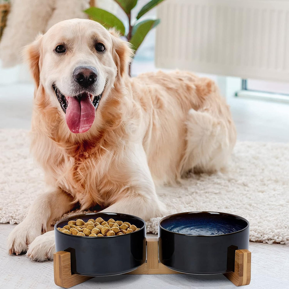 SPUNKYJUNKY ceramic dog bowl water closeup ensuring easy access to hydration