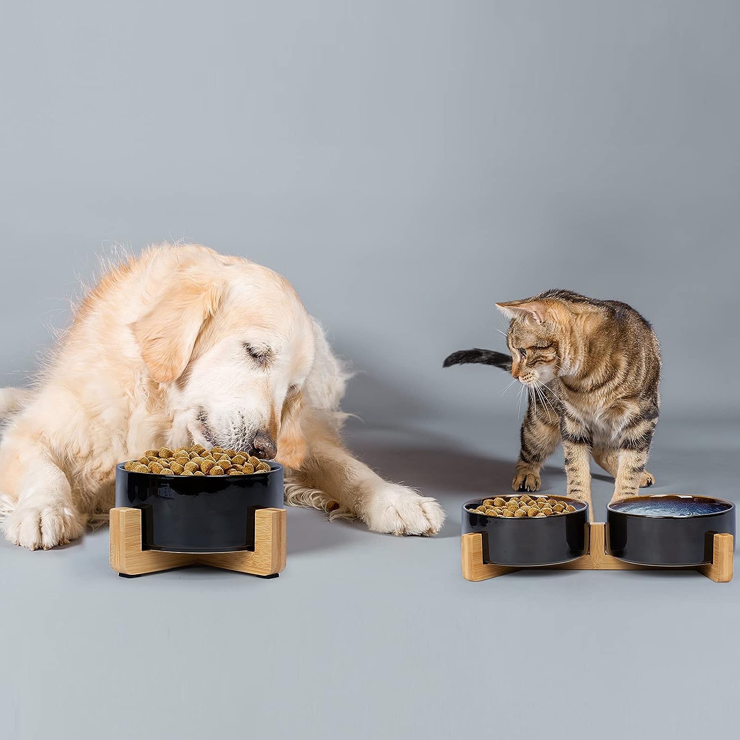 SPUNKYJUNKY dog-cat-bowl-set layout showcasing compact size for pets
