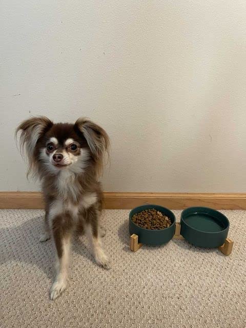 SPUNKYJUNKY double-bowl-green-wood-stand shows food and water bowls