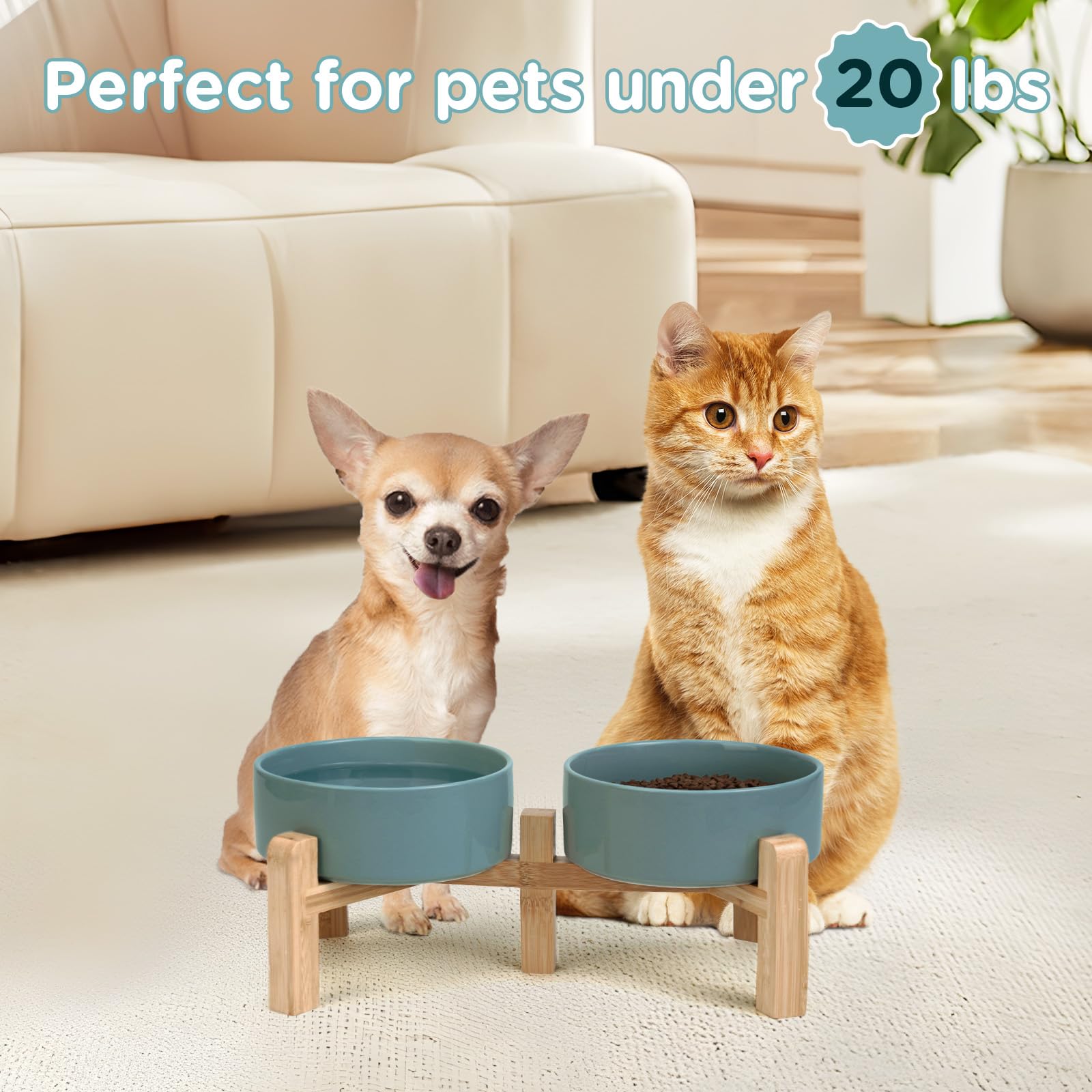 SPUNKYJUNKY four size options for kittens to medium dogs