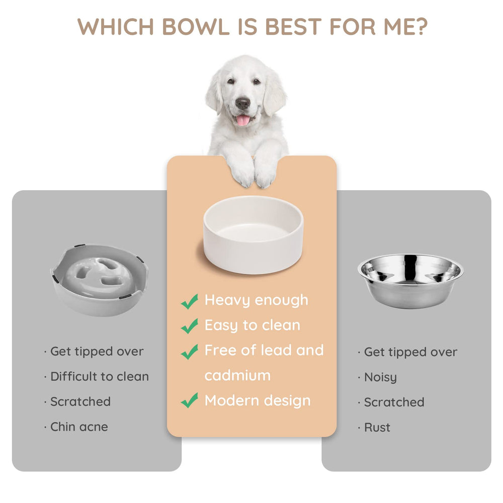 SPUNKYJUNKY ceramic bowl white close-up highlights glossy glaze and dishwasher-safe design
