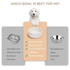 SPUNKYJUNKY ceramic bowl white close-up highlights glossy glaze and dishwasher-safe design