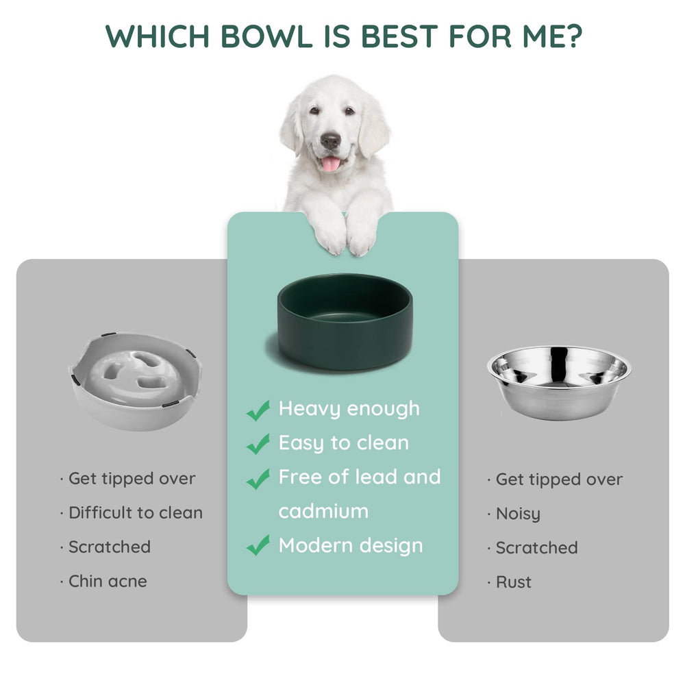 SPUNKYJUNKY ceramic bowl three-sizes-available display demonstrates range for different pets.