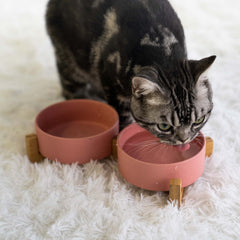 SPUNKYJUNKY double-bowl set for food and water keeps meals organized
