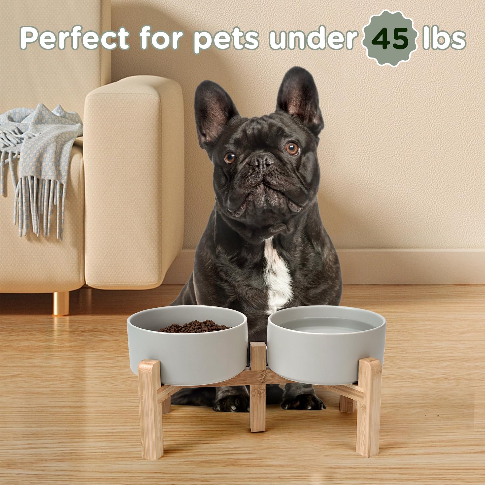 SPUNKYJUNKY four-size options suitable for kittens to large dogs