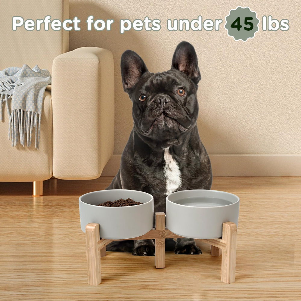 SPUNKYJUNKY four-size options suitable for kittens to large dogs